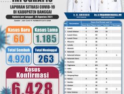 Laporan Situasi Covid-19 di Kabupaten Banggai Per tanggal 24 Agustus 2021