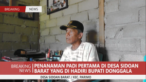 PENANAMAN PADI PERTAMA DI DESA SIDOAN BARAT YANG DI HADIRI BUPATI DONGGALA