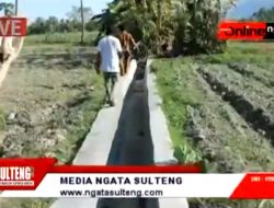 PROGRAM DANA DESA RARAPADENDE TAHAB II 100 PERSEN