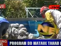 PROGRAM DANA DESA MATAUE TAHAB II 2019
