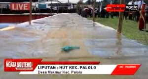 REKOR MURI DUNIA KUE LAPIS SINGKONG