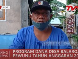 PROGRAM DESA BALAROA PEWUNU TAHUN 2021