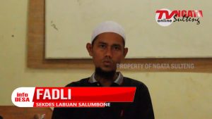 Program Pemerintah Desa Labuan Salumbone Tahun 2021