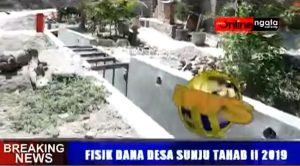 SUNJU FISIK DD TAHAB II 2019
