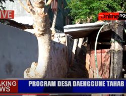 DAENGGUNE REALISASI 2019 1