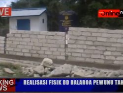REALISASI PROGRAM BALAROA PEWUNU