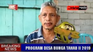 BUNGA TAHAB II 2019