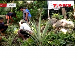 Penggunaan Alokasi Dana Desa Mantikole Tahun Anggaran 2021