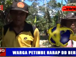 PEKERJA FISIK DD PETIMBE