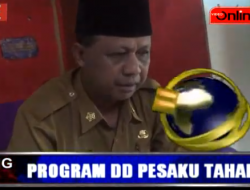 PROGRAM DD PESAKU TAHAB II 2019