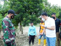 Bupati Sigi Meninjau Langsung Lokasi Bencana Banjir Di Desa Bangga Kecamatan Dolo Selatan