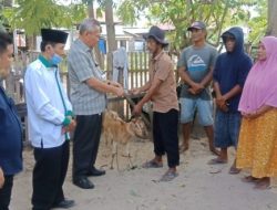 Lewat Ketua DPRD, Baznas Sigi Serahkan 10 Ekor Kambing Pada Kelompok Ternak di Loru dan Bulupountu