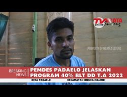 PEMDES PADAELO JELASKAN PROGRAM 40% BLT DD T.A 2022