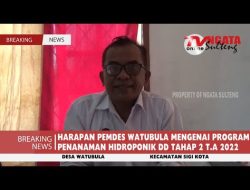 HARAPAN PEMDES WATUBULA MENGENAI PROGRAM PENANAMAN HIDROPONIK DD TAHAP 2 T.A 2022
