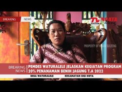 PEMDES WATURALELE JELASKAN KEGIATAN PROGRAM 20% PENANAMAN BENIH JAGUNG T.A 2022