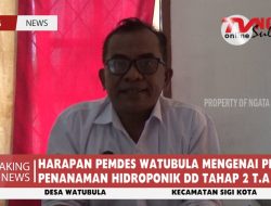 HARAPAN PEMDES WATUBULA MENGENAI PROGRAM PENANAMAN HIDROPONIK DD TAHAP 2 T.A 2022
